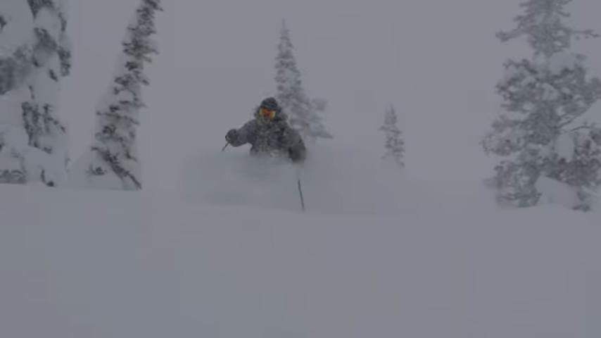 Stray Dogs - A Backcountry Ski Film